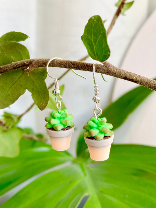 Succulent Earrings | Handmade from polymer clay